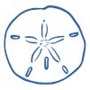 Outline of a sand dollar on a white background