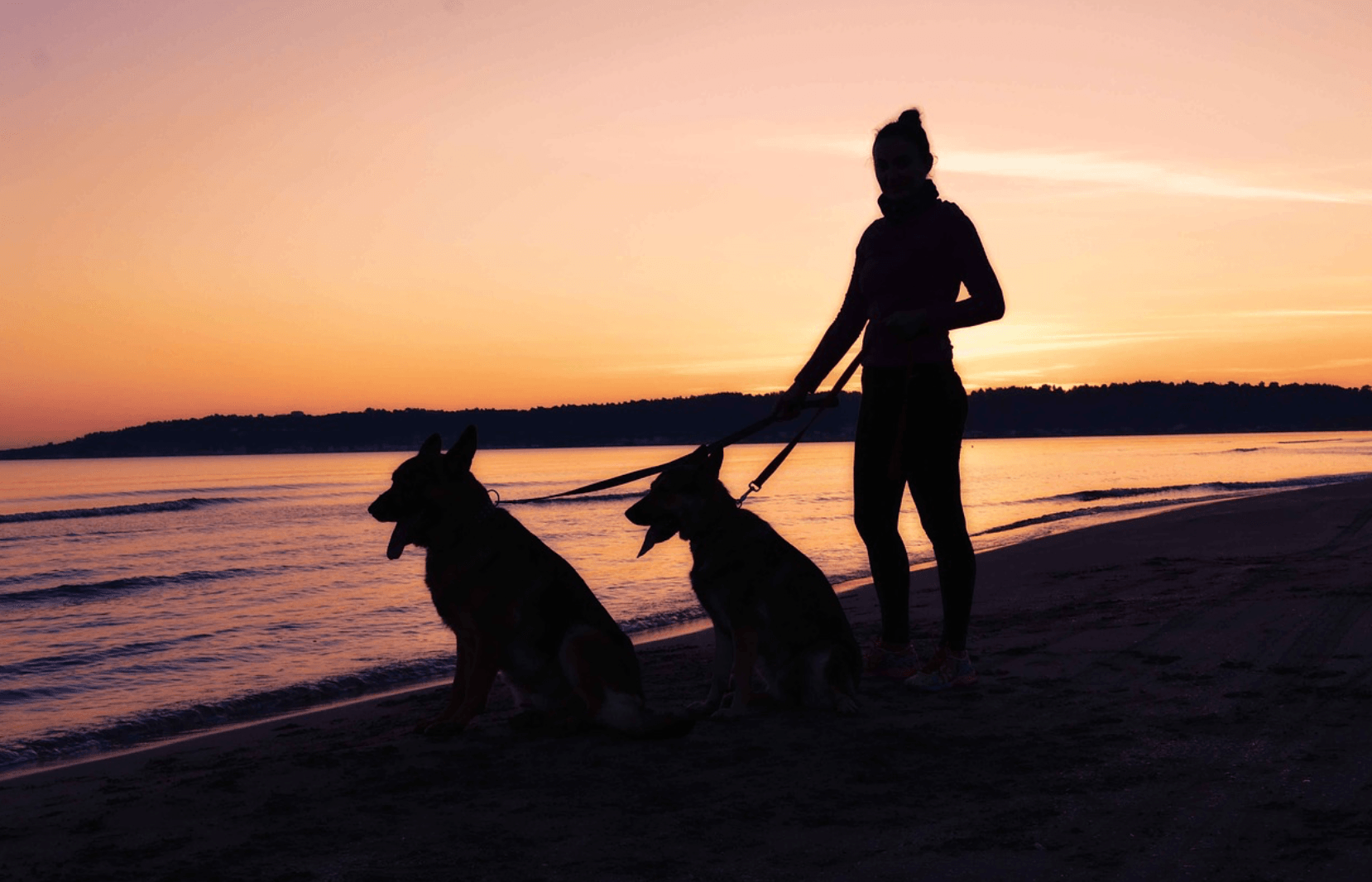 Health Benefits of Having Pets for Women Over 50 - Anthony's Ladies Apparel