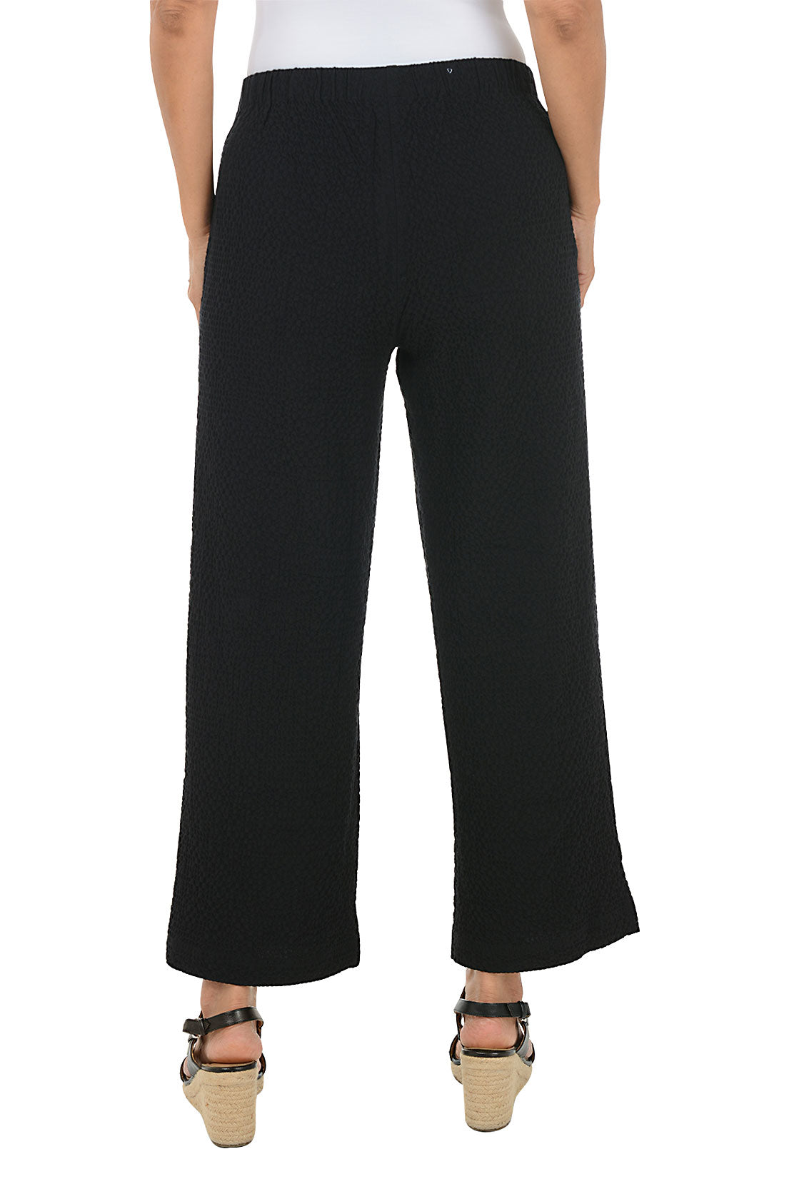 Person wearing black wide-leg pants on a white background. Back shot.