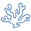 Neon blue outline of seaweed on a transparent background