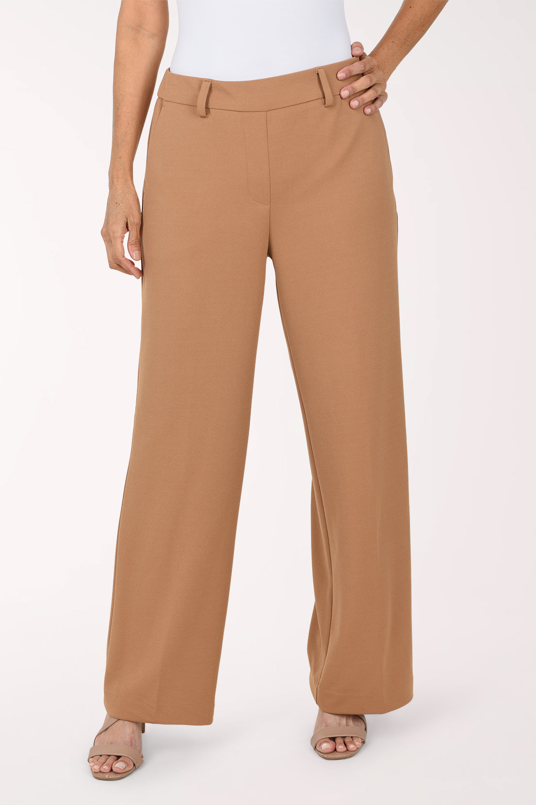 Zac and Rachel Stretch Wide Leg Pull-On Pant | Anthony's