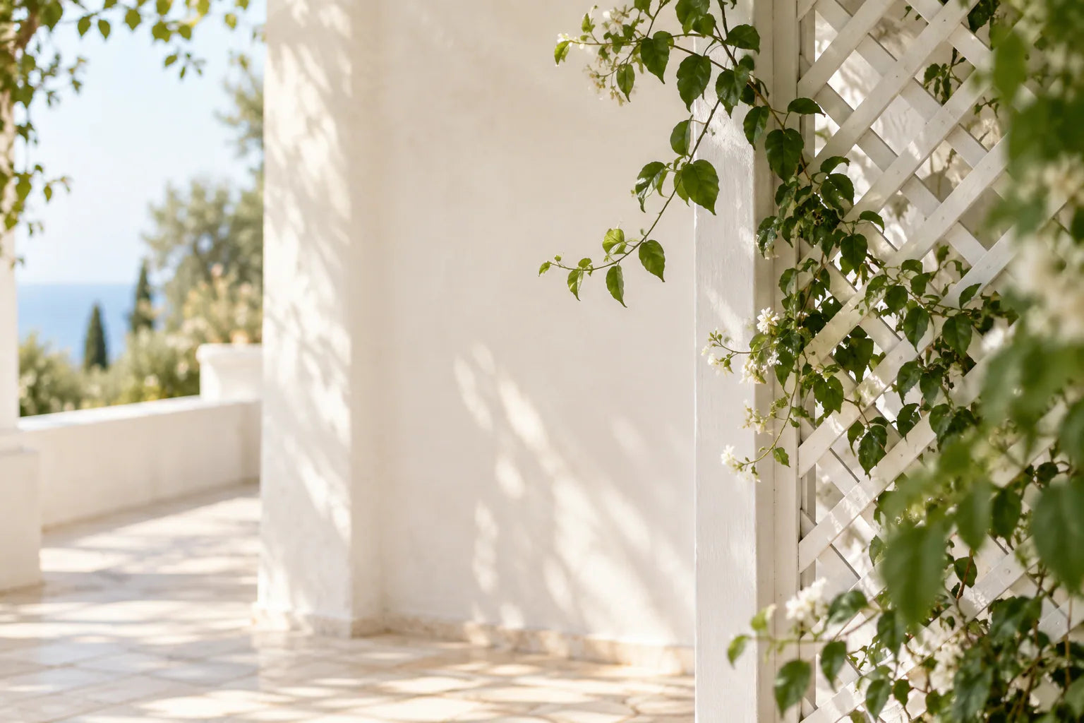Sunlit white garden wall with flowering vines and a glimpse of the water.